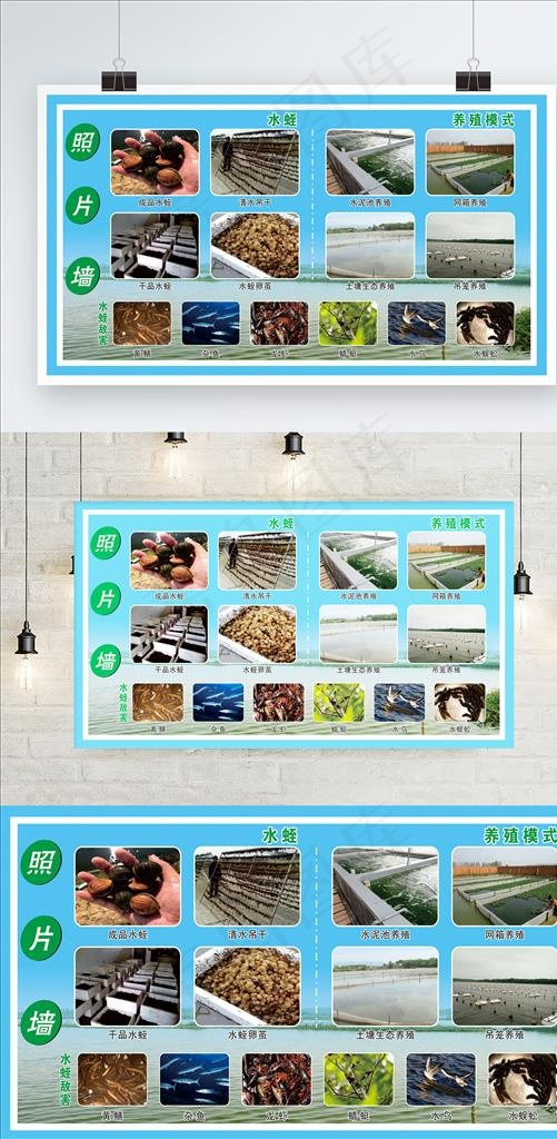 水产养殖照片墙图片cdr矢量模版下载