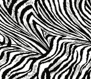 线条斑马纹图片