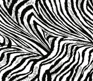 线条斑马纹图片