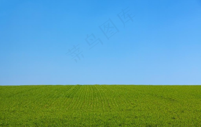 天空草坪自然生态背景素材图片