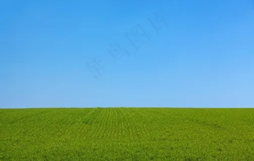 天空草坪自然生态背景素材图片