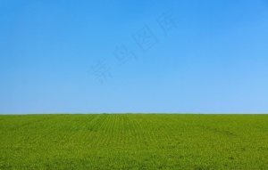 天空草坪自然生态背景素材图片