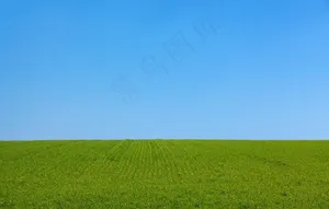 天空草坪自然生态背景素材图片