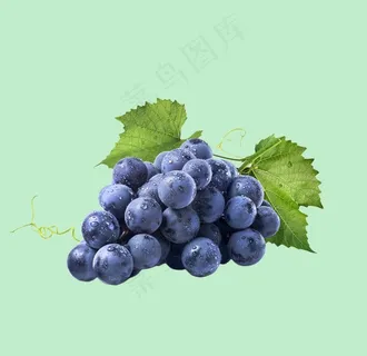 葡萄图片