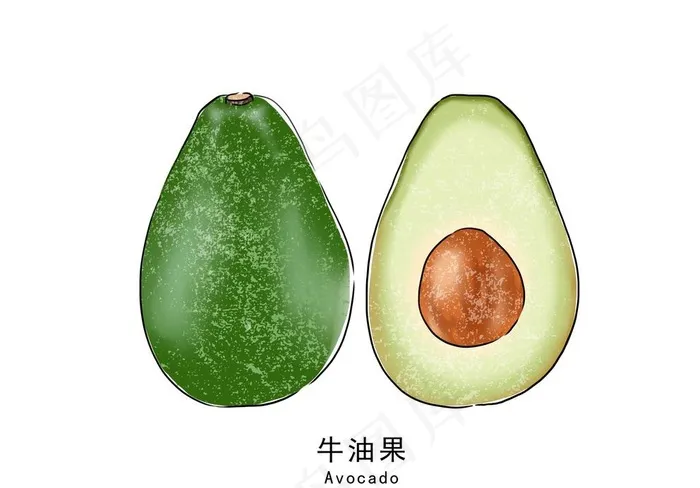 牛油果素材图片psd模版下载