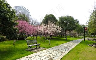 公园园林图片
