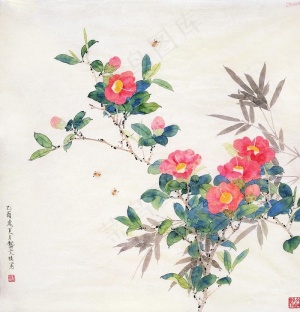 花鸟图片