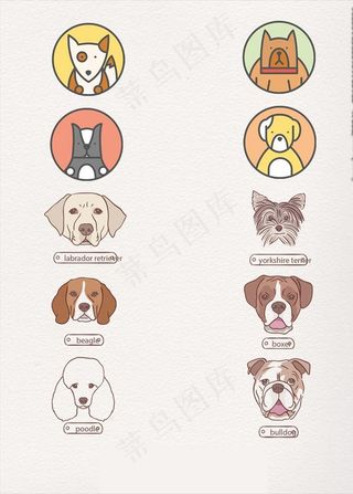 宠物狗图标图片