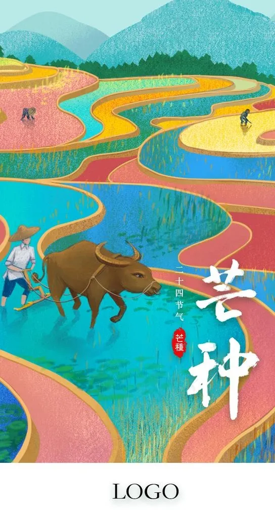 芒种图片(750X1334(DPI:72))psd模版下载