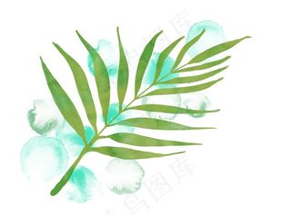 水彩叶子图片
