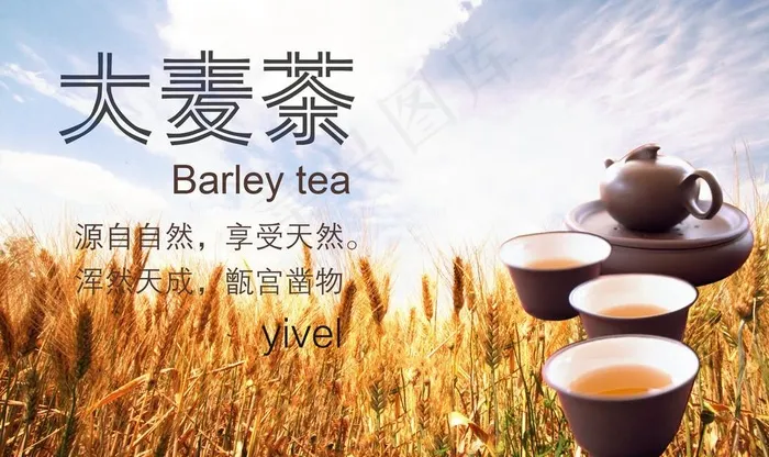 大麦茶海报图片psd模版下载