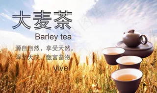 大麦茶海报图片