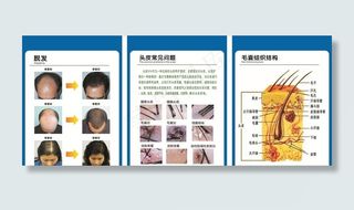 头皮护理 损伤案例 头皮常见问图片