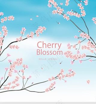 牡丹花 花卷 桃花 春天桃图片