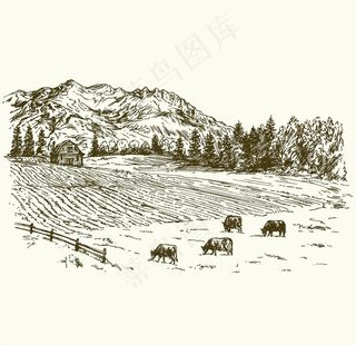 牛群牧场矢量图图片