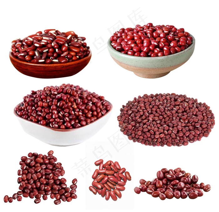 红豆图片