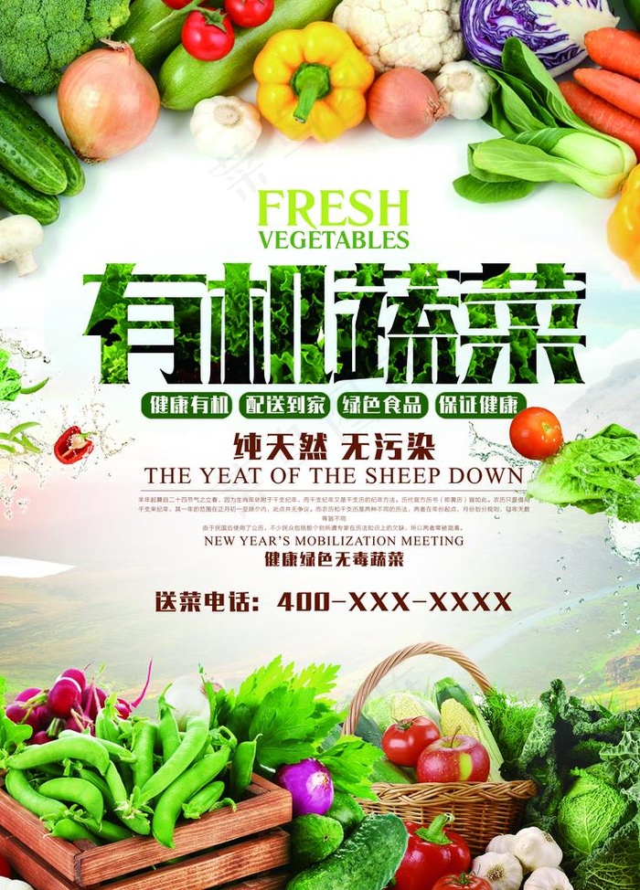有机蔬菜图片(2835X3780(DPI:120))psd模版下载