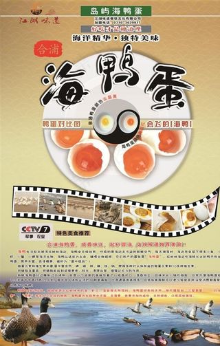 海鸭蛋海报图片