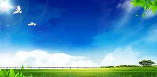 蓝天草地背景图片