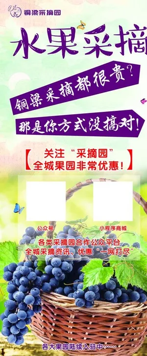 水果采摘图片 水果采摘图片