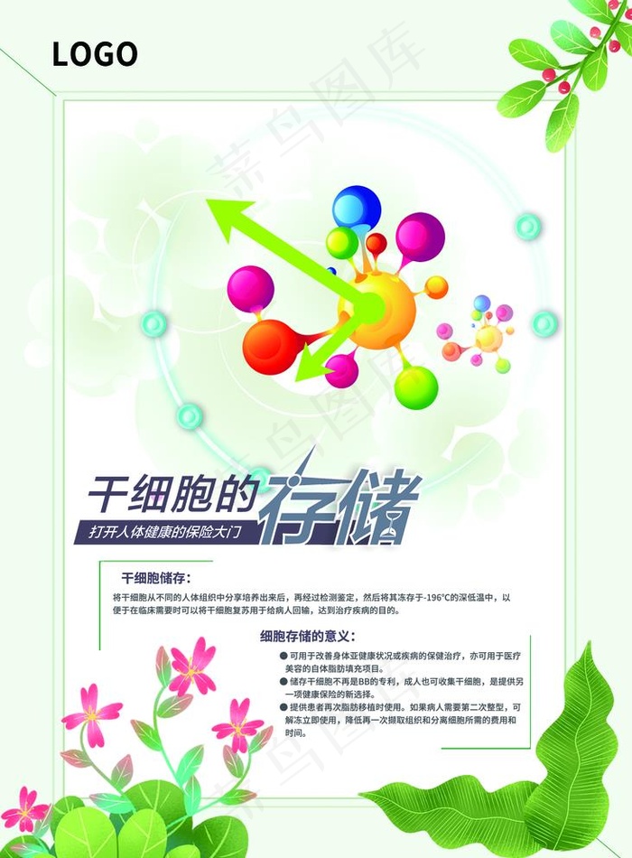 干细胞存储图片