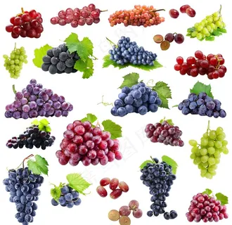 葡萄免扣素材图片