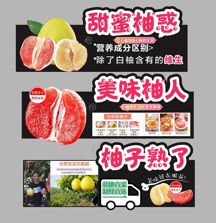 柚子图片cdr矢量模版下载