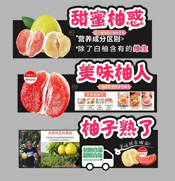 柚子图片cdr矢量模版下载
