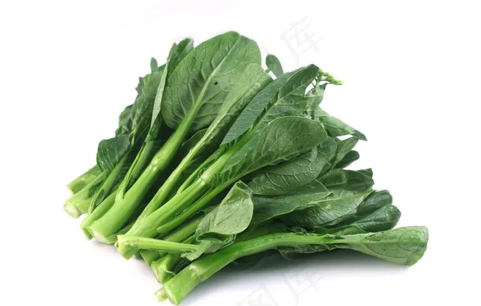 菜心图片