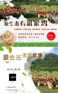 原生态有机家鸡图片 原生态有机家鸡图片