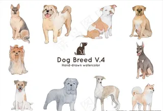 手绘水彩宠物狗矢量插画图片