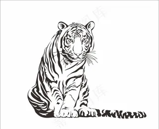 老虎矢量图图片