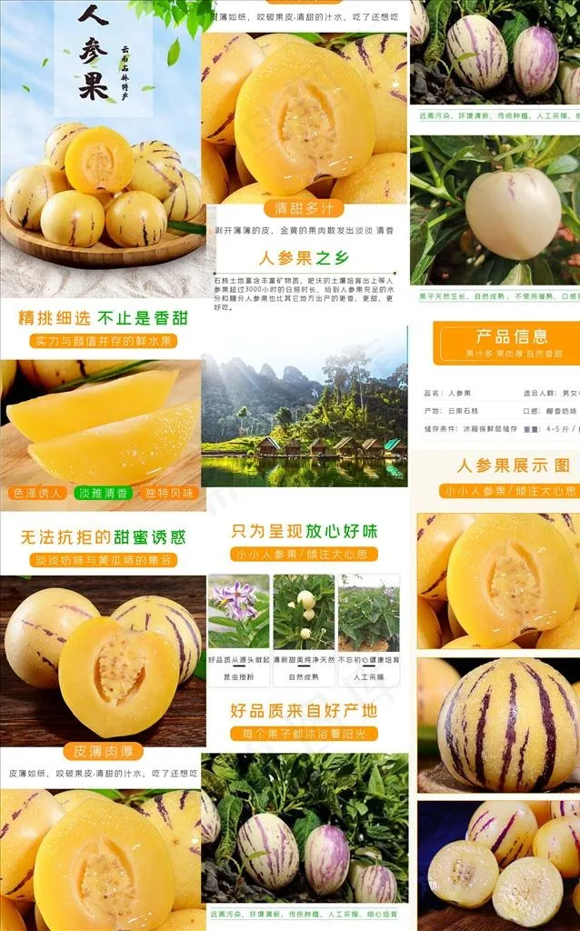 人参果图片(790X11918(DPI:72))psd模版下载