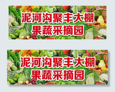 果蔬采摘园图片