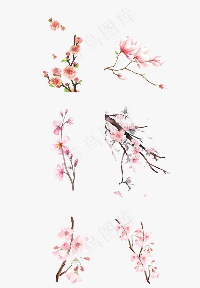 桃花图片cdr矢量模版下载