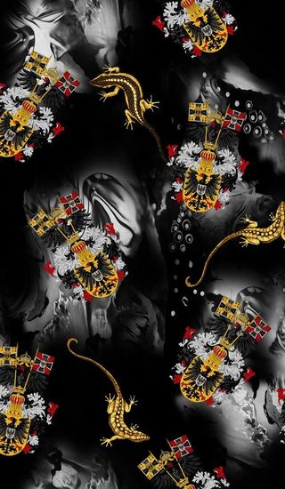 大牌男装蜥蜴图片