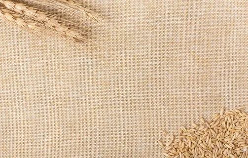 燕麦图片