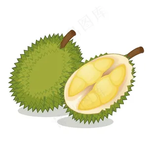 矢量卡通榴莲图片