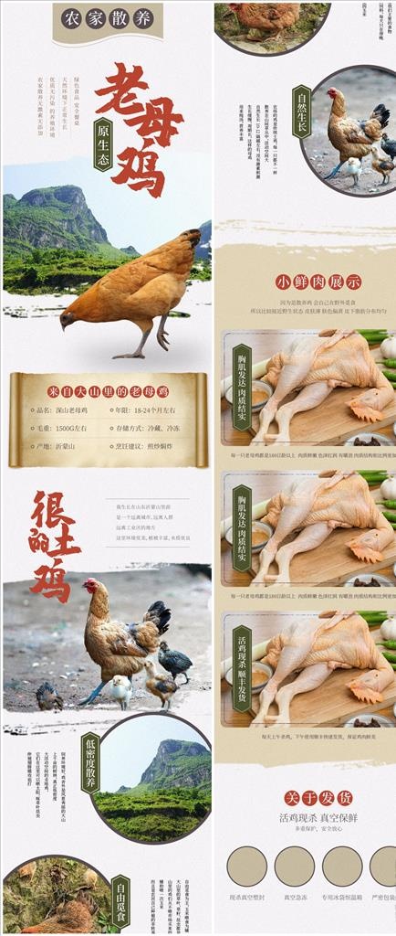 母鸡详情页图片