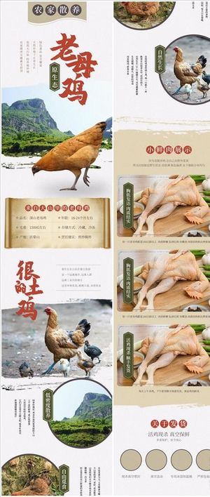母鸡详情页图片