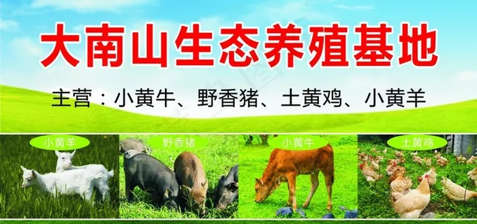大南山生态养殖基地图片