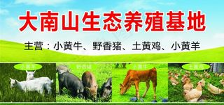 大南山生态养殖基地图片