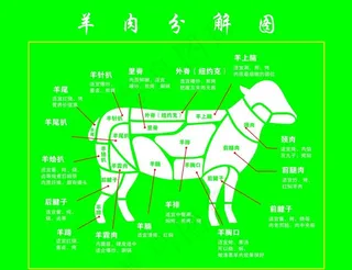 羊肉分解图图片