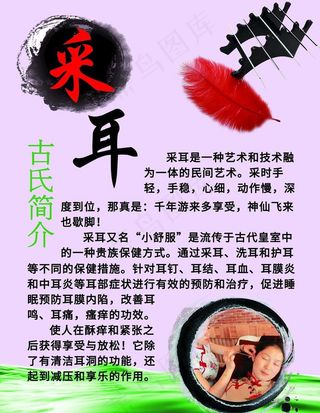 采耳简介图片