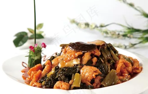 酸菜炒肉片图片