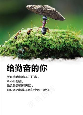 企业大气励志墙壁挂画办公室装饰图片