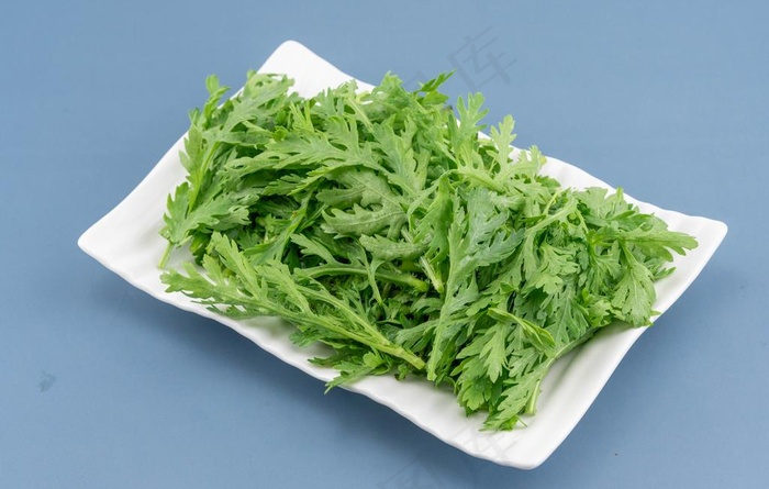 茼蒿图片