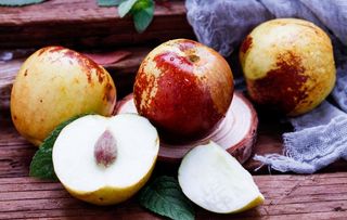 脆甜的冬枣图片