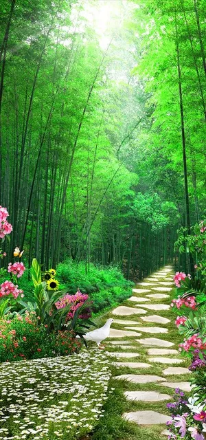 竹子玄关图片