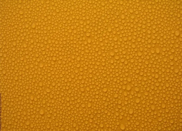 水珠图片